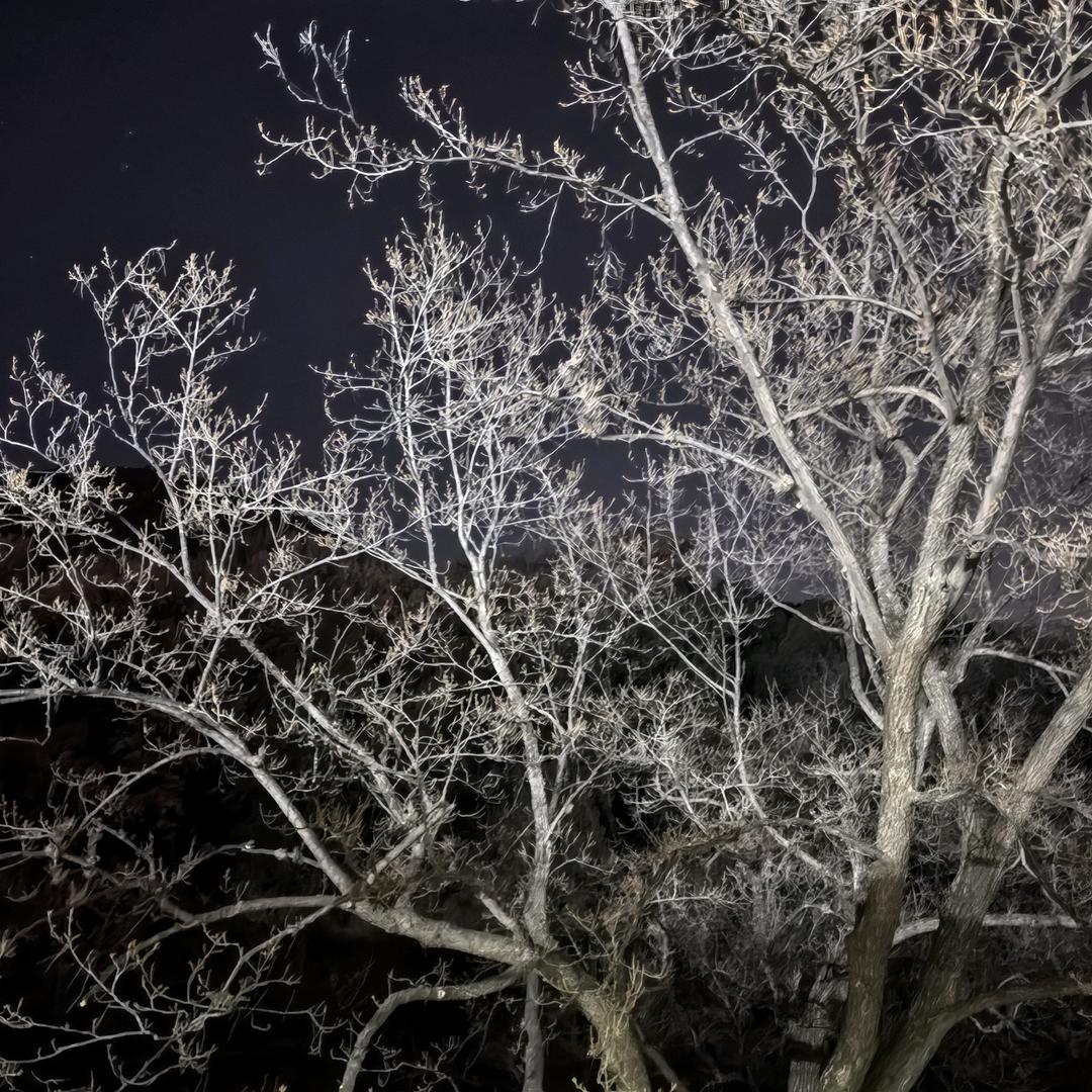 连云港永格信息服务有限公司