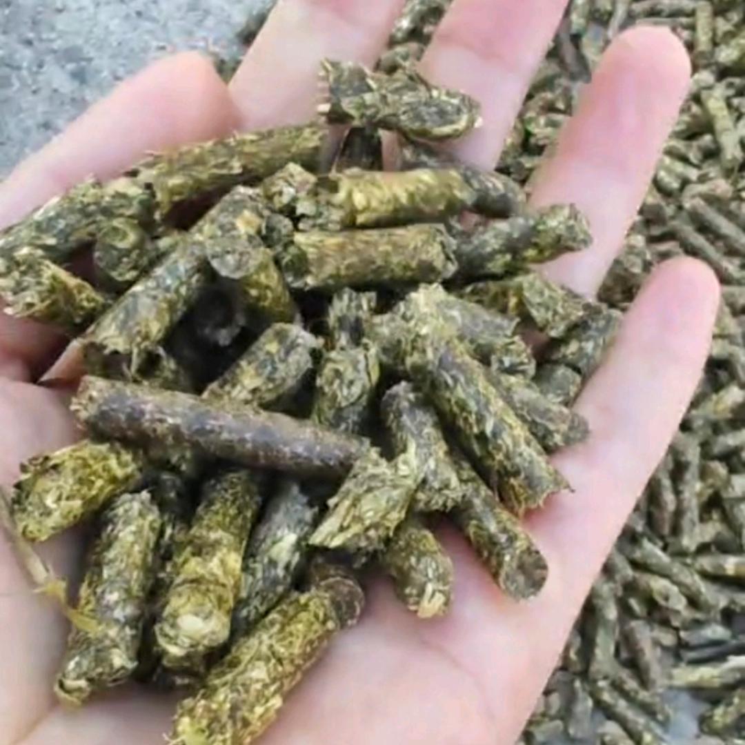 中牧之光牛羊饲料草颗粒