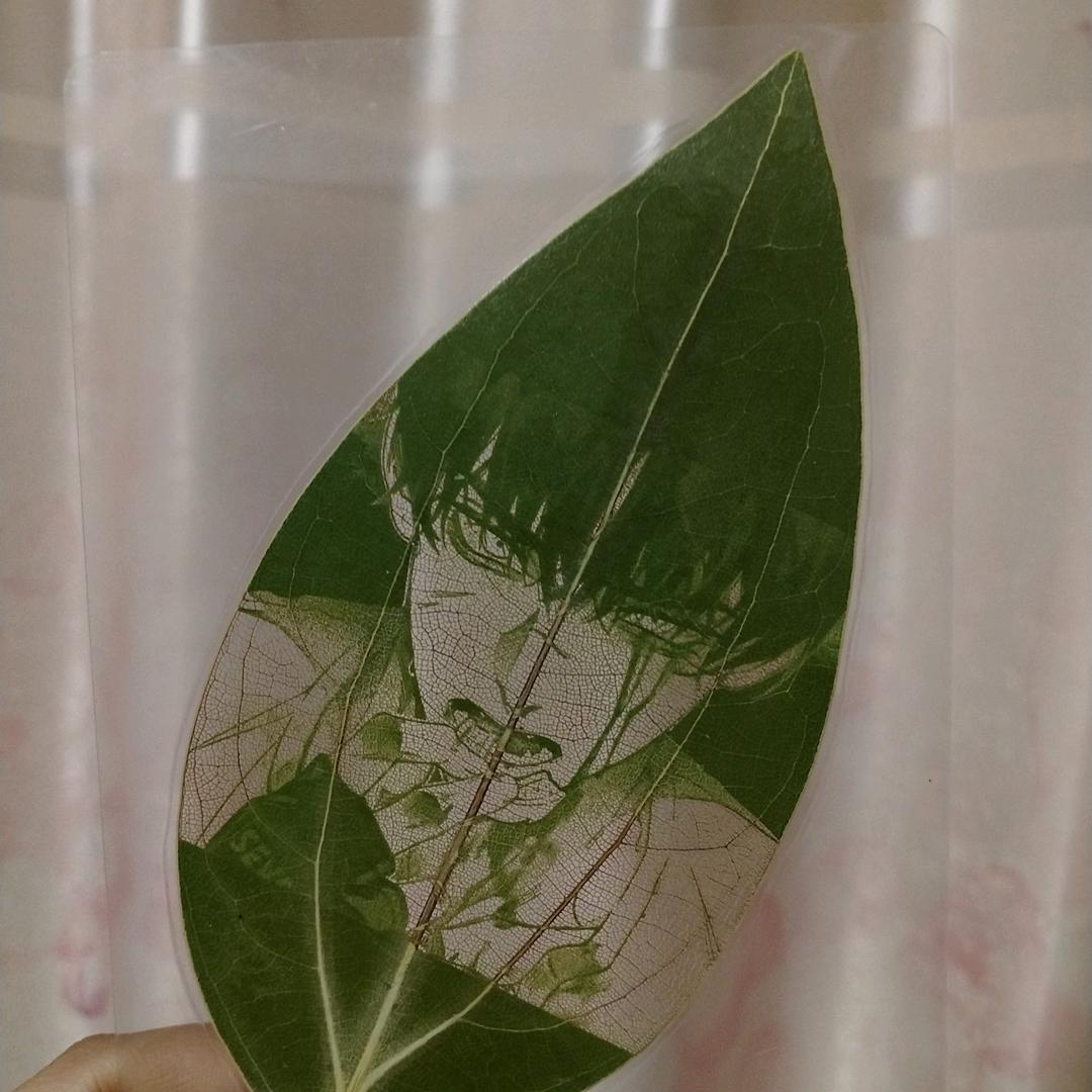 隆鑫包装