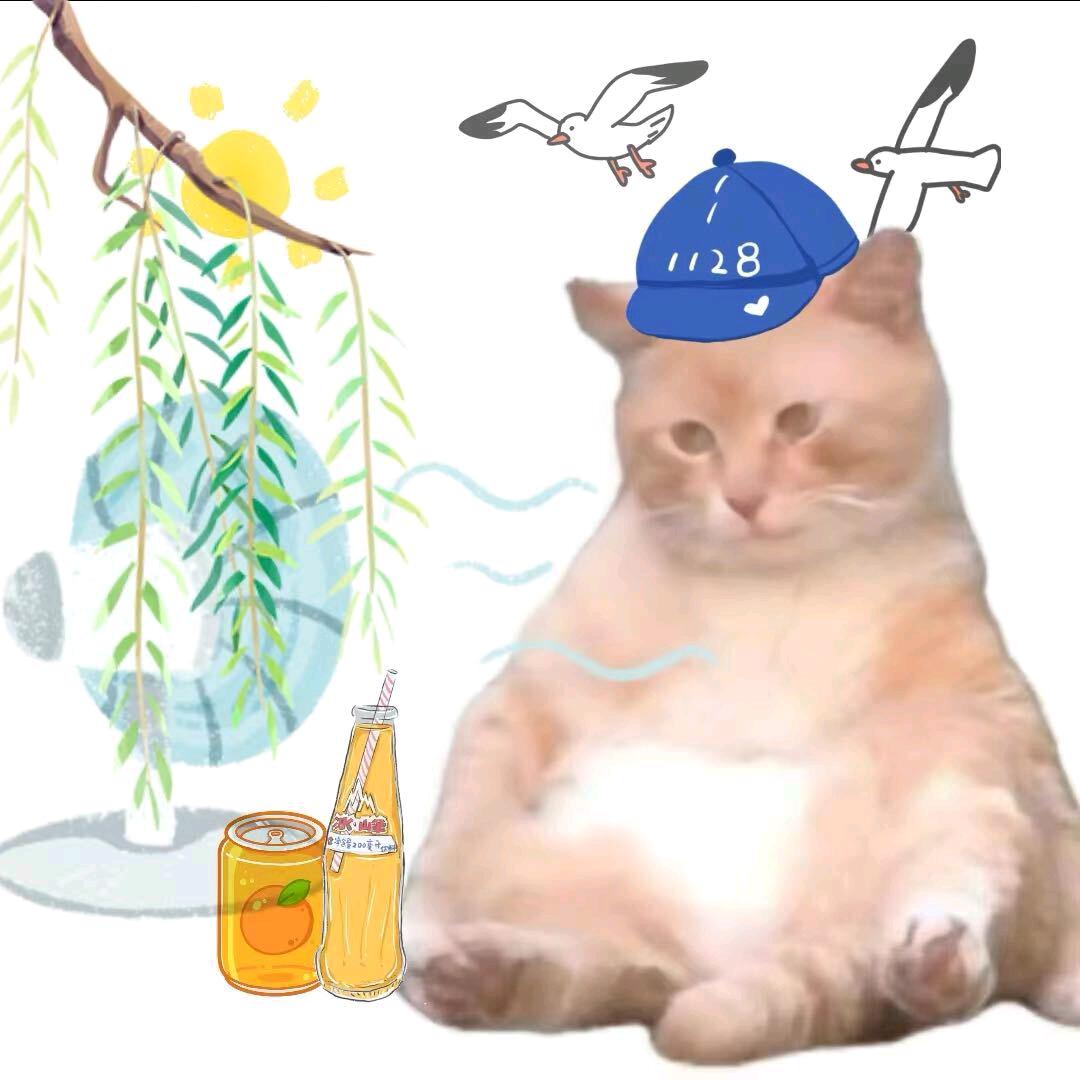 柒月
