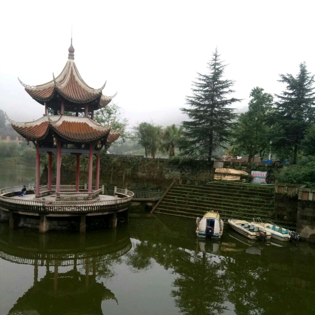 翱翔的鹰
