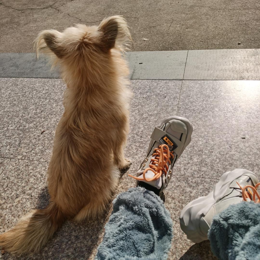 宁缺毋滥.