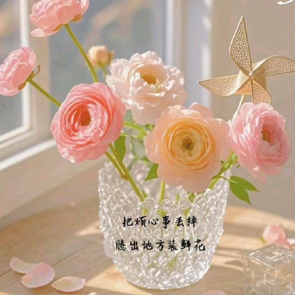 酷到࿎♡̸᩠没边