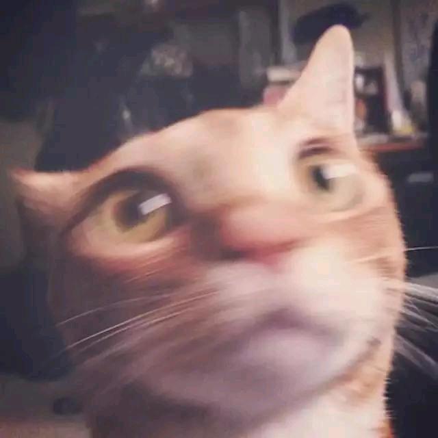 知回忆