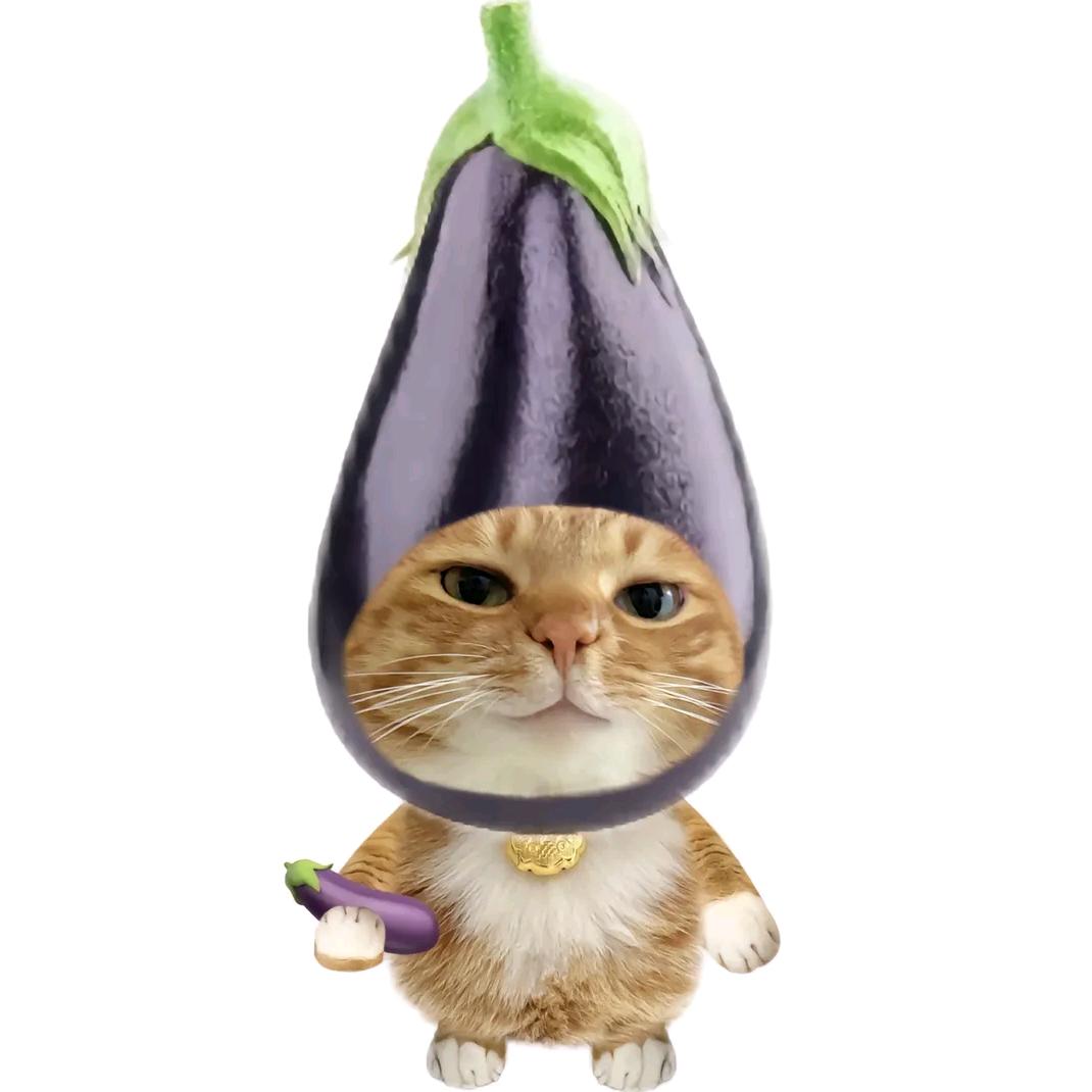 ~