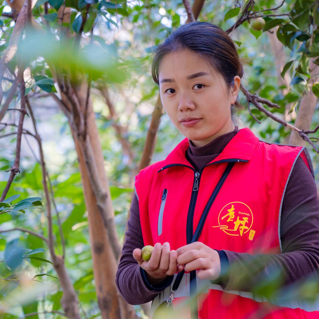 湖北英山茶油兰姐
