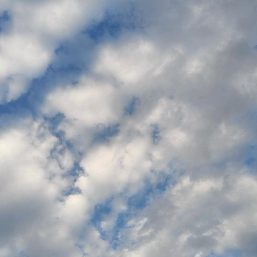 西平县安佳科技