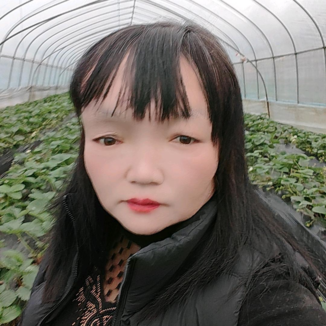 草莓大姐。主播，晚上7点