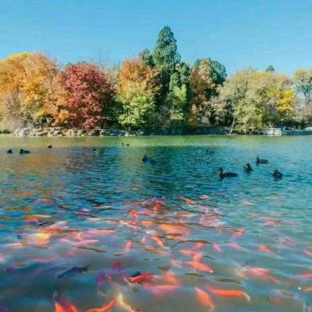 郑州数学张老师