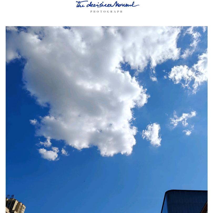 温暖的阳光🌈🐈