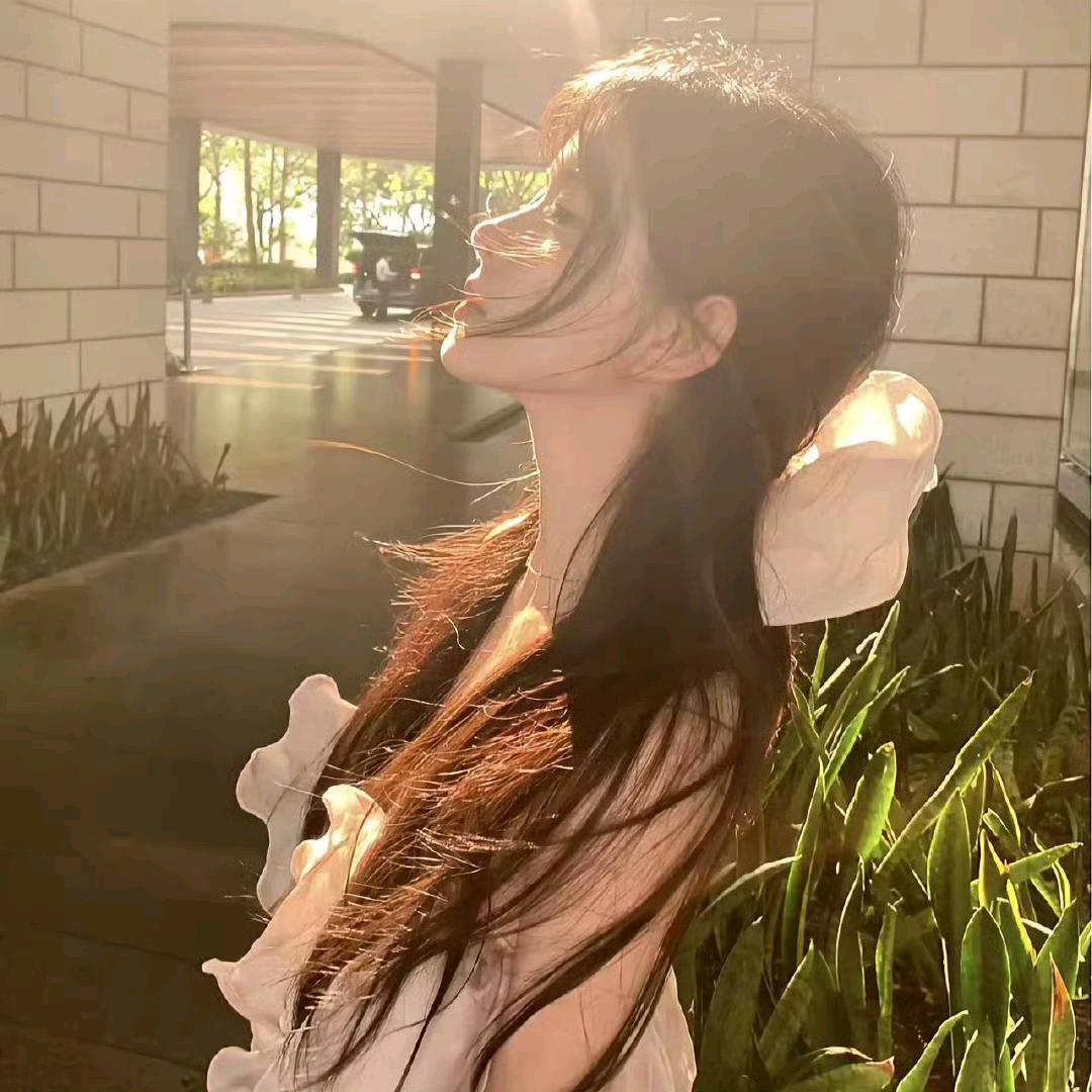 哕枝杏雨季.