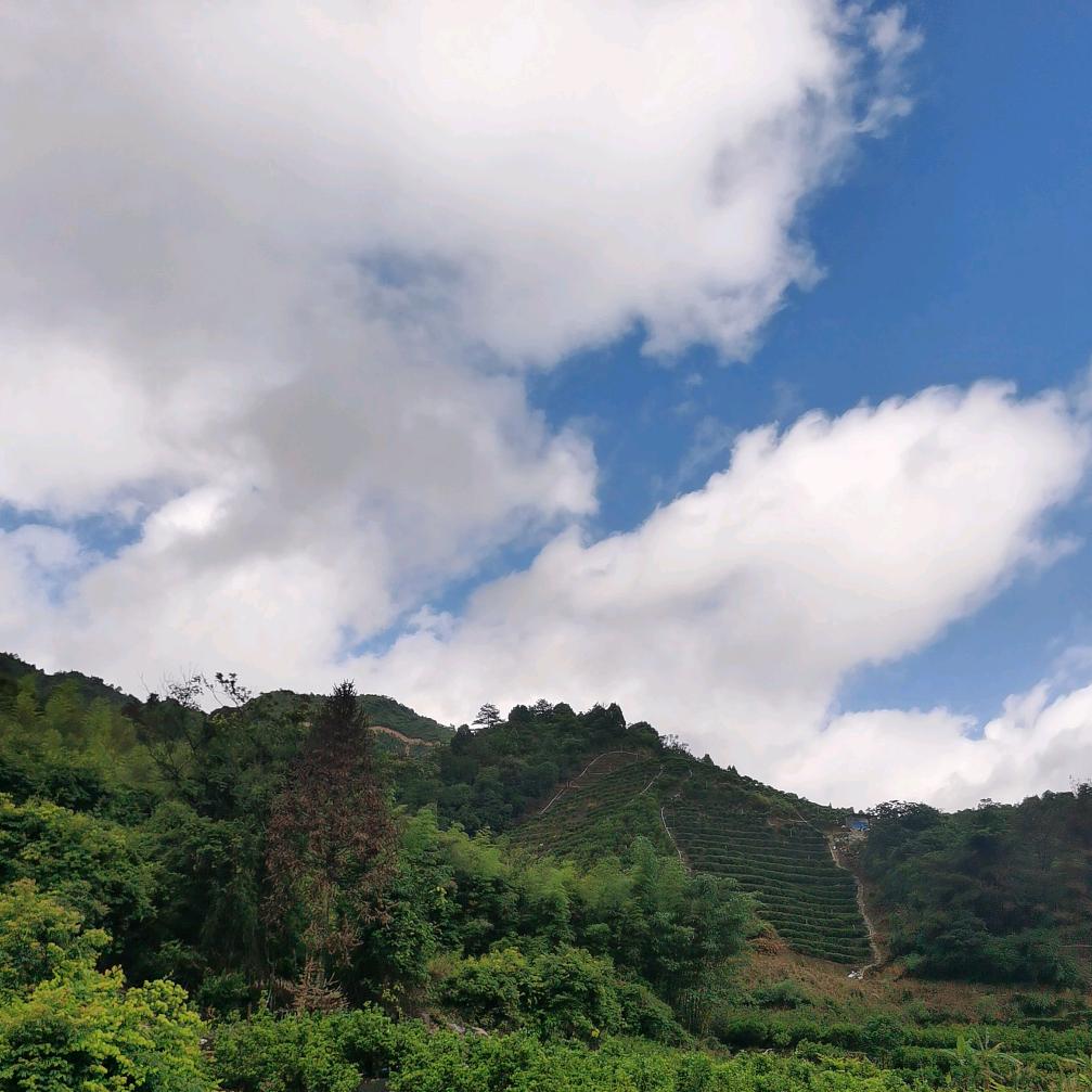 💞₅²⁰💘ོོ¹₁₅