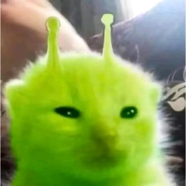 如果呢