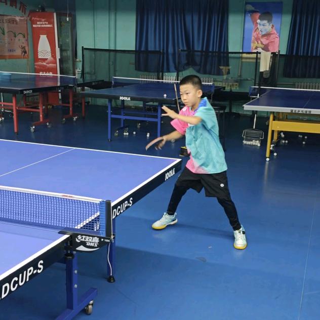 大宝的乒乓生活