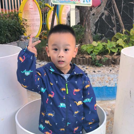 张凯捷(笔名:乐高火影爱手绘)