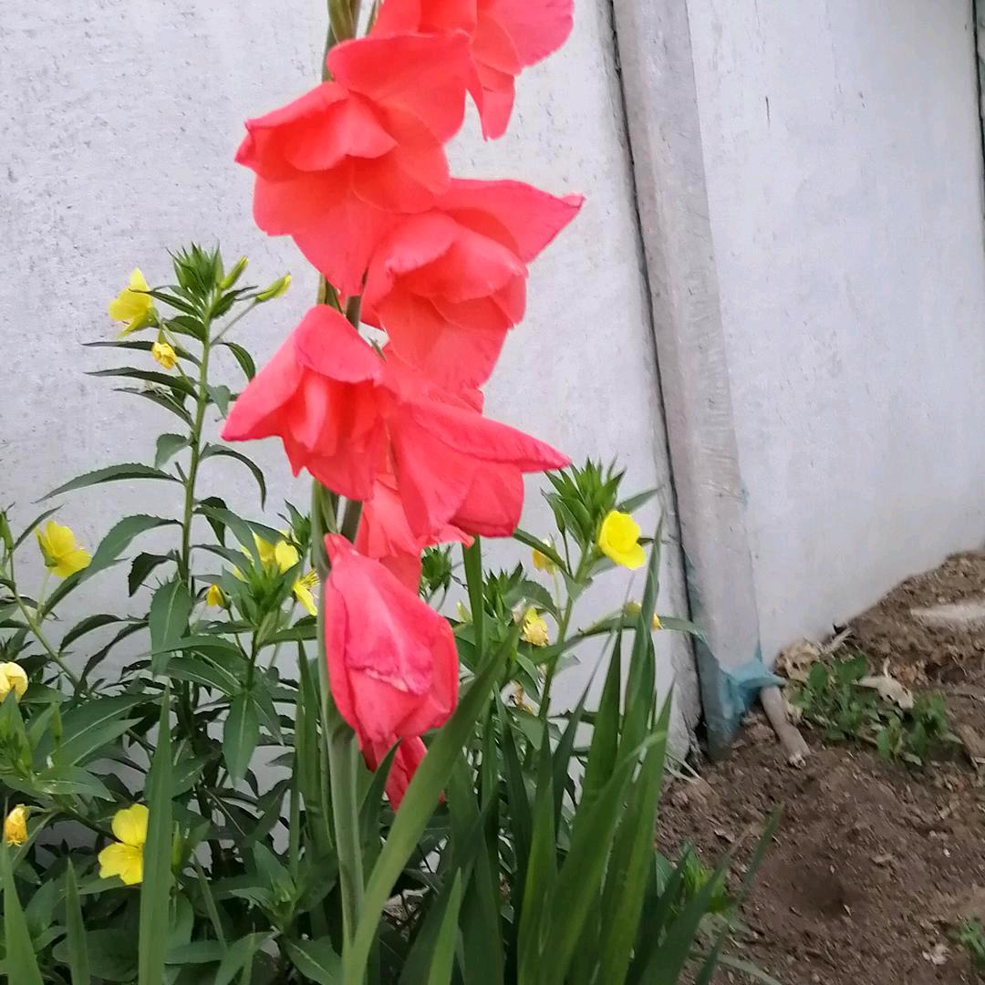 读你