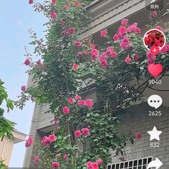 陪孙女快乐学习