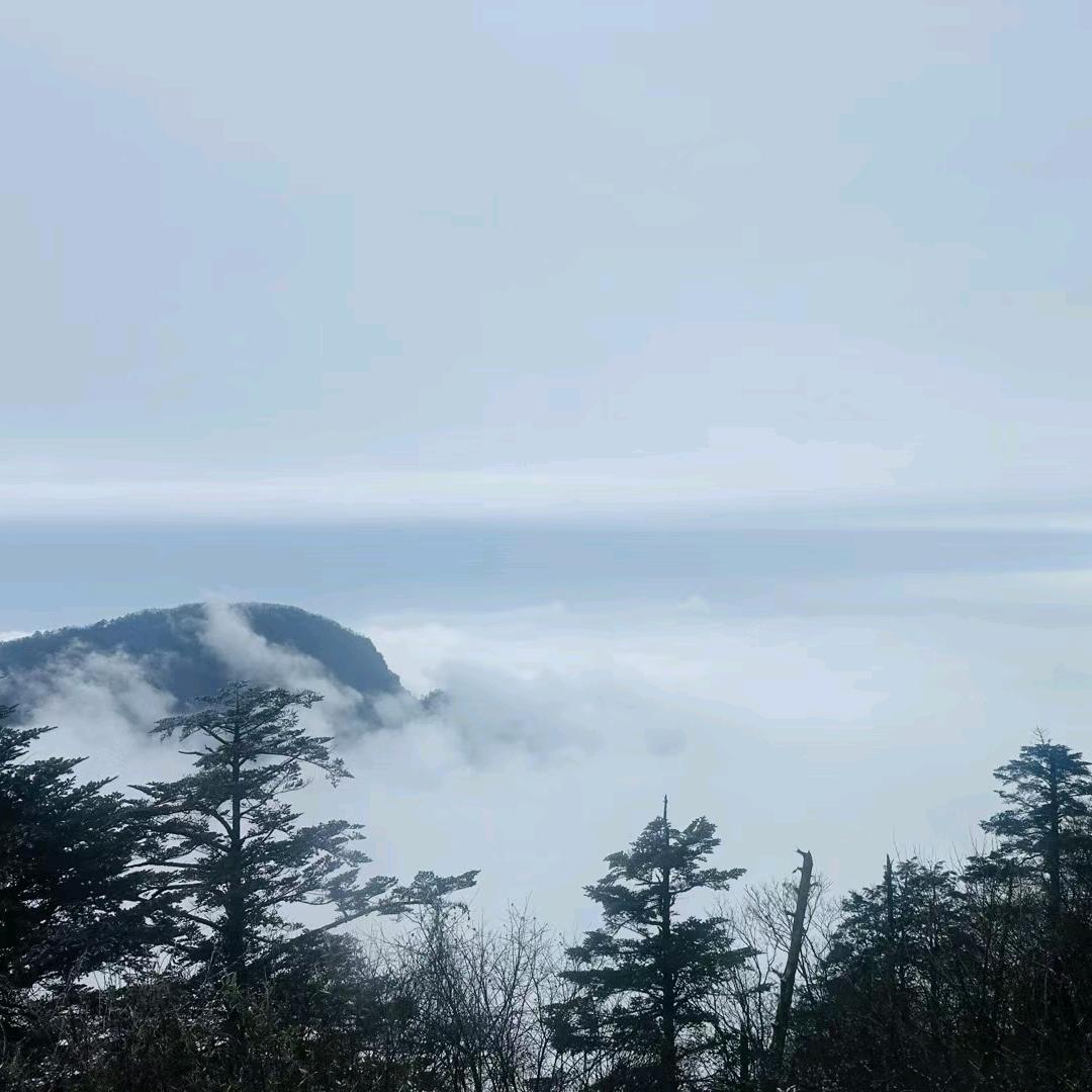 遇事不慌张，先生