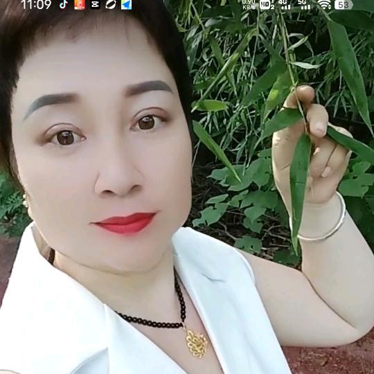 崔有才