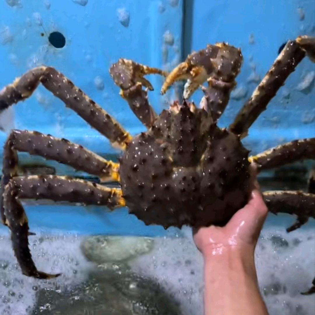 郭得不错，海鲜批发