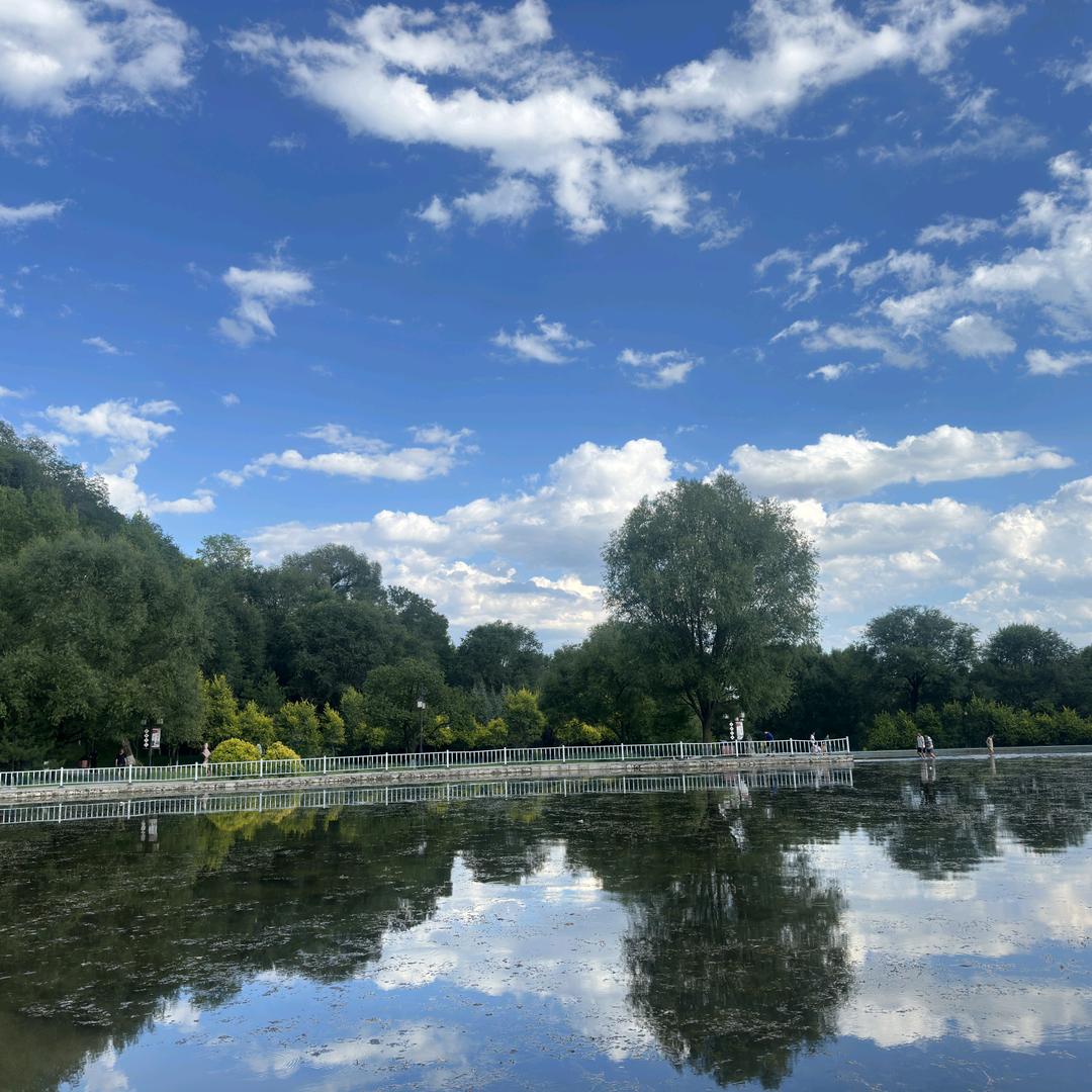 牛达滋兰州牛肉面