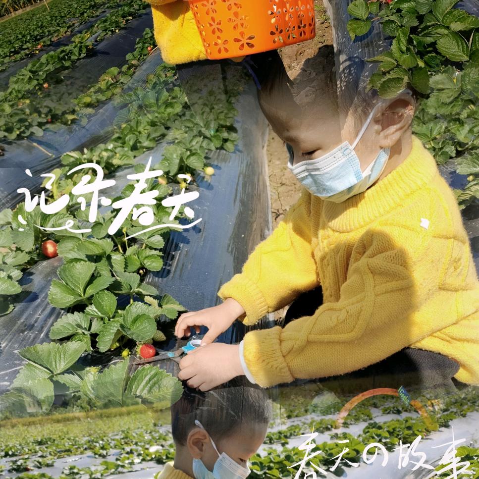 麻麻的臭宝诺诺