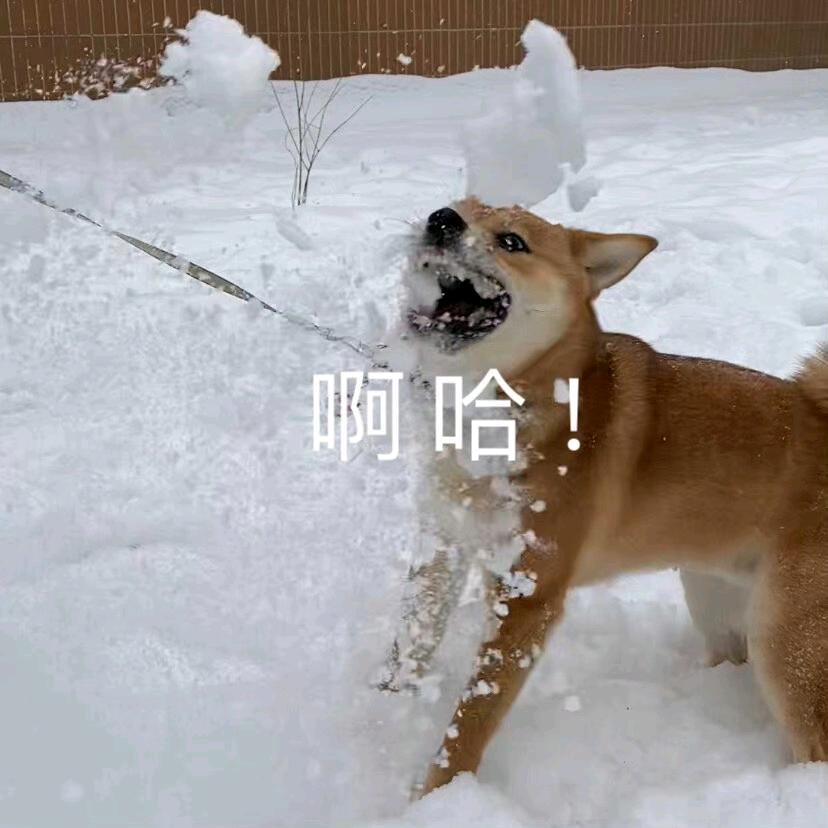 暴富暴瘦