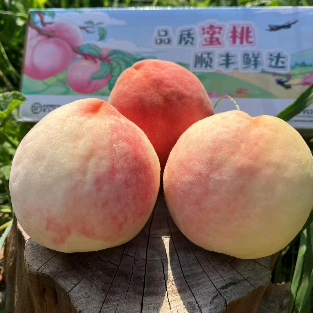 肥城桃鲜鲜园甄选