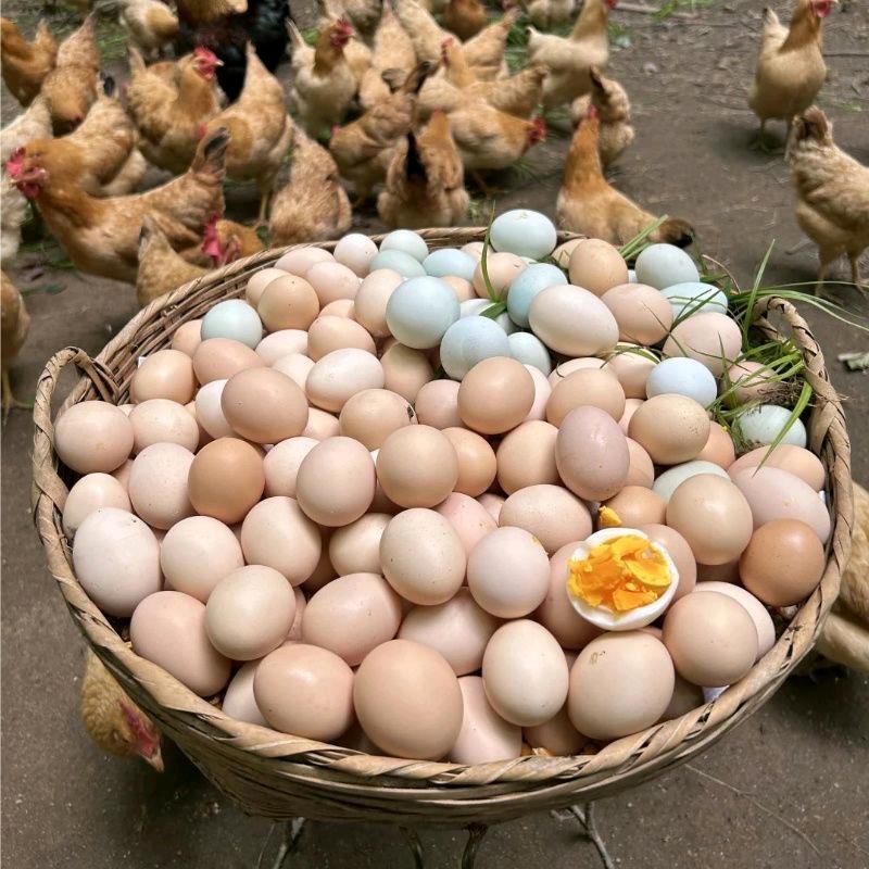 安徽大别山家禽蛋品
