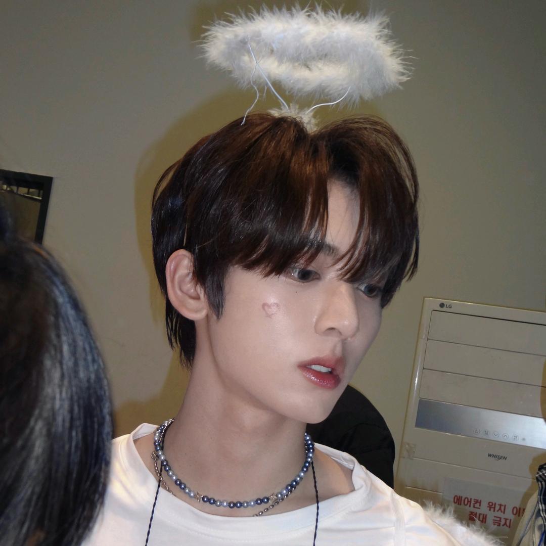 鲫鱼饼火鸡面重度梦女