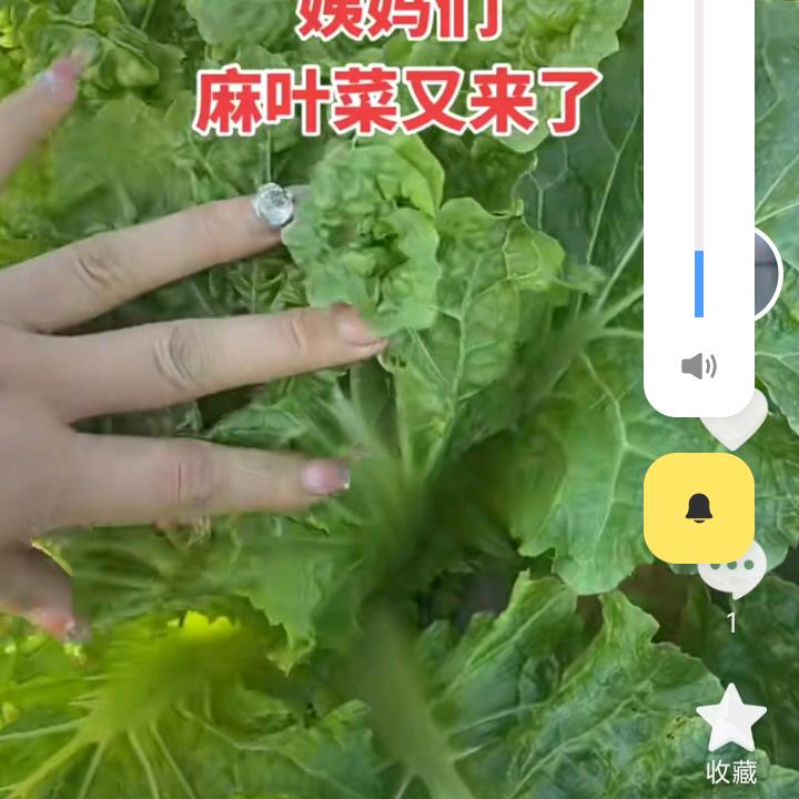 一个人在外漂泊流浪