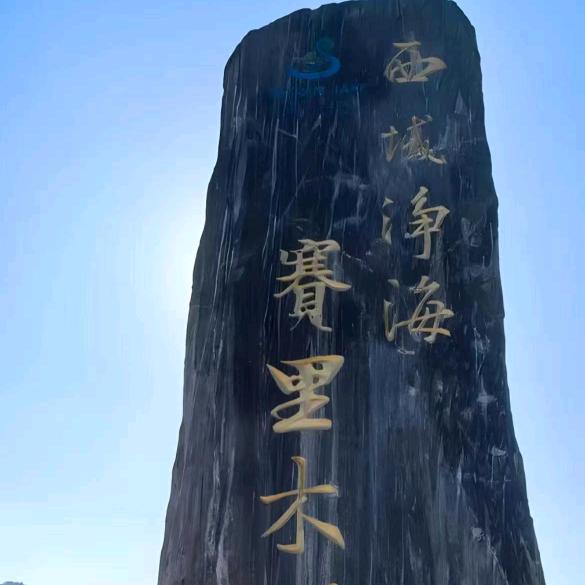 沉默是金*