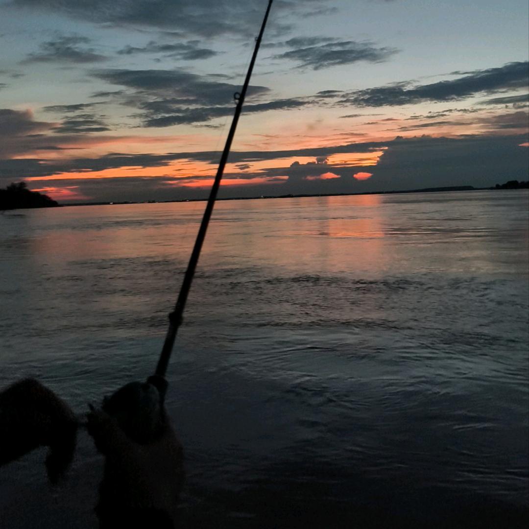 冯大大🎣