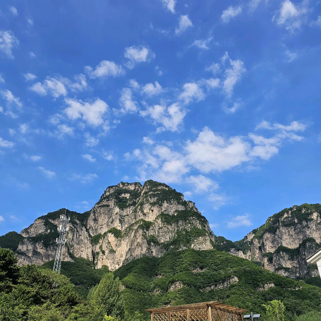 枫灬缘
