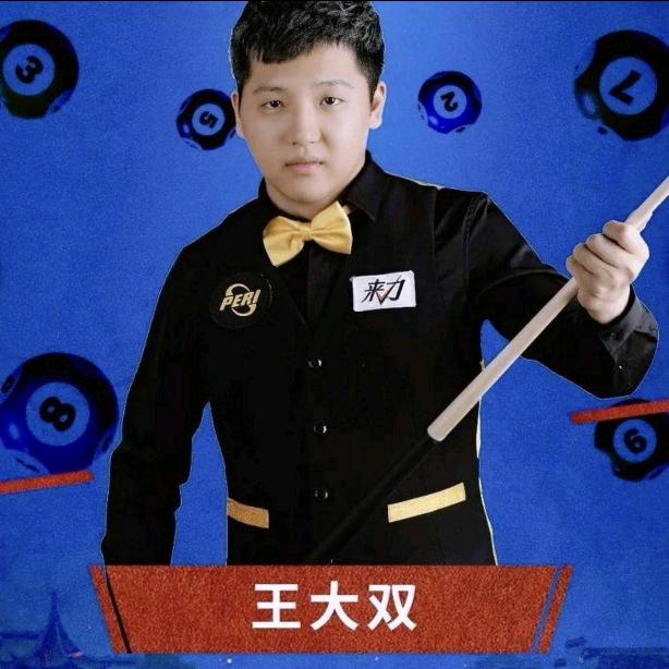 台球王大双教学器材培训