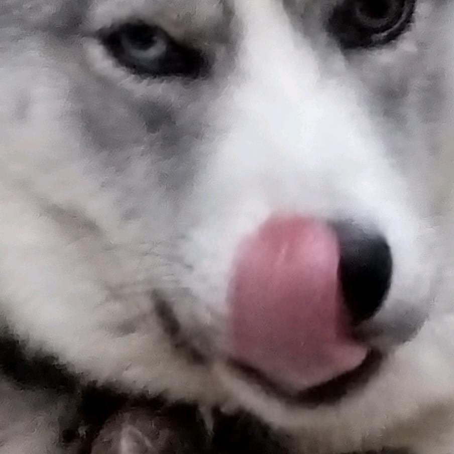 🐉一天挣一张🐉