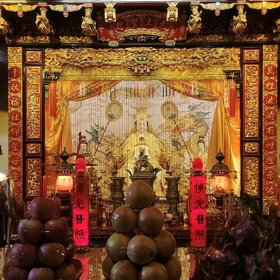 蔡%道友