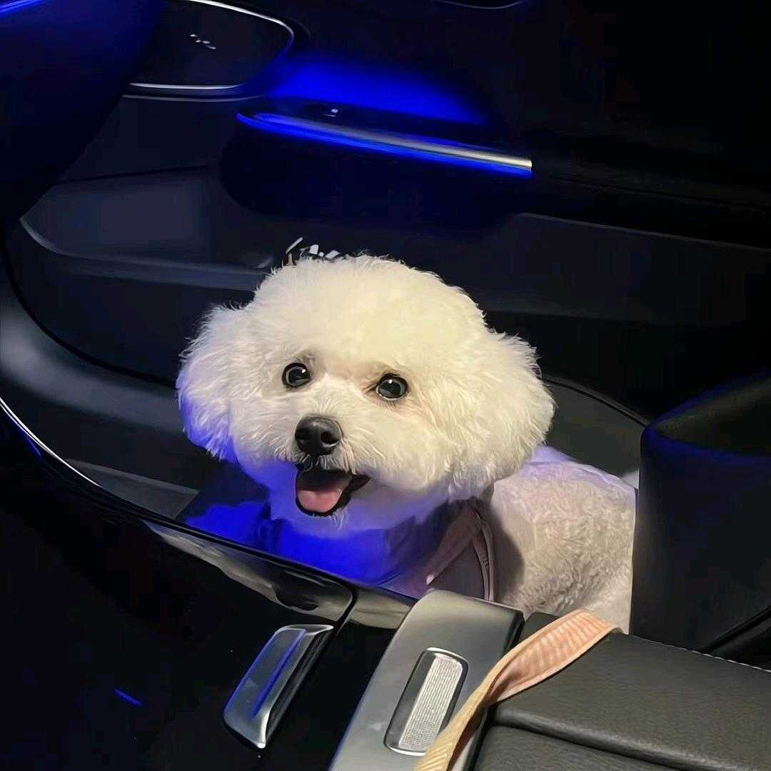 ༄༊࿆乐ོྂཾ࿆࿐