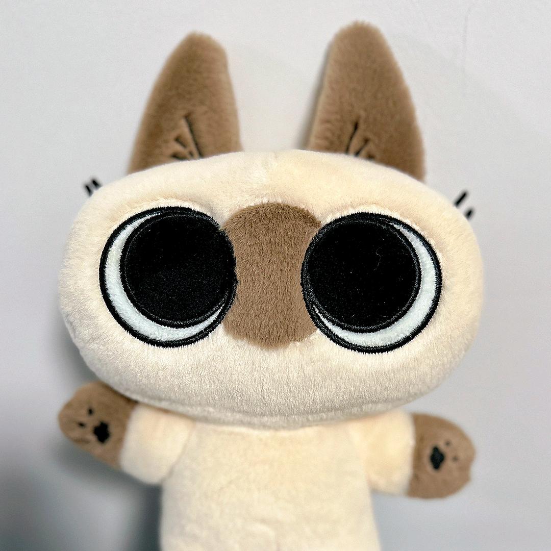 沐言爱吃橘子🍊