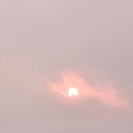 柠夏