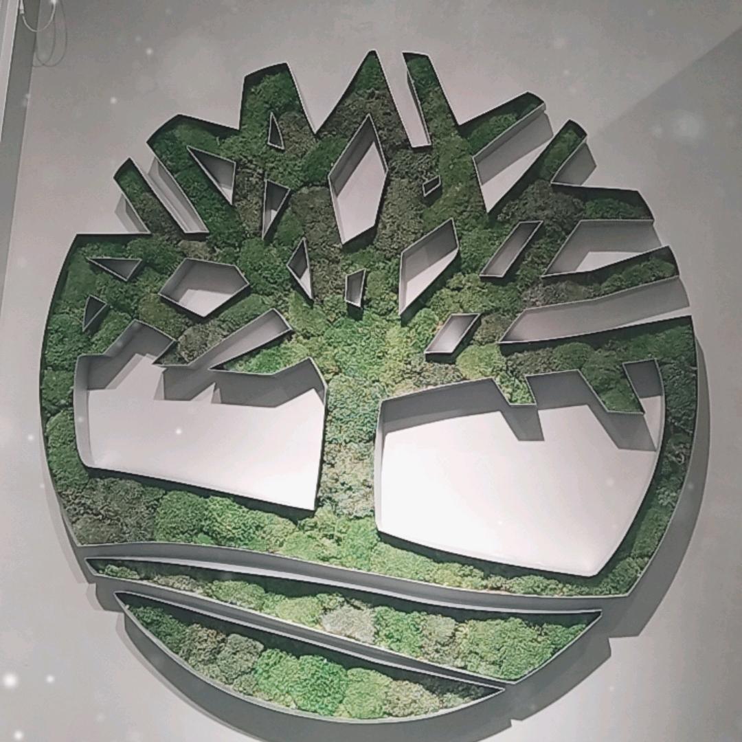 大连柏威年添柏岚专柜
