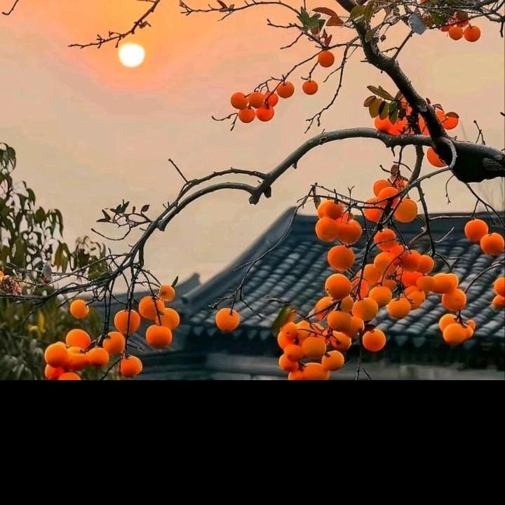 王大姐