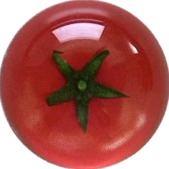 西红柿味的番茄🍅