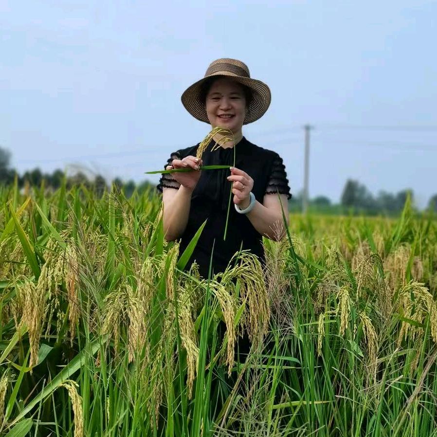 鑫汇- 仙桃梅子直播号