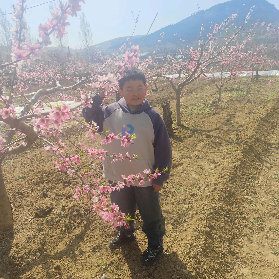 农村二姐
