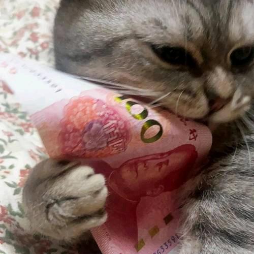 一笑世间钱和爱都是美女在作怪