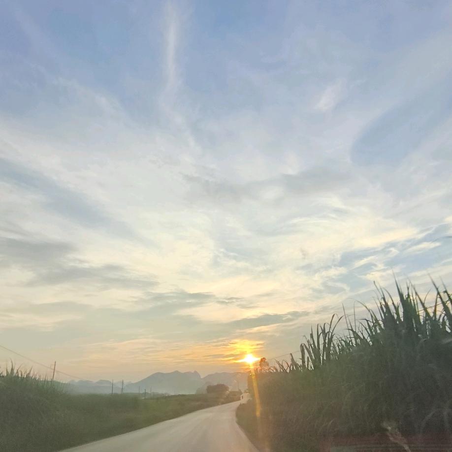 是与否