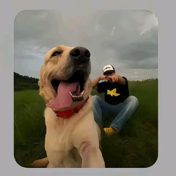 。。。。。。。。