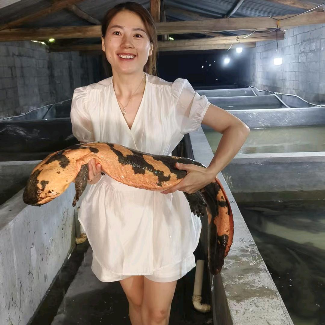 重庆金渊鲜活水产工厂店