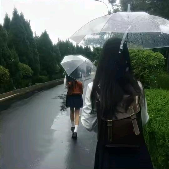夏浅
